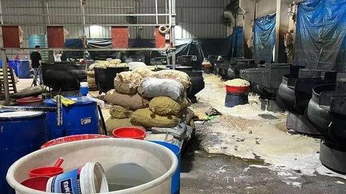 环保严查 赔偿58余万！揭阳白塔一被絮加工场直排废水受重罚