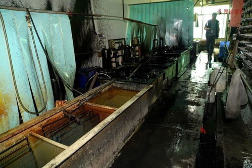 被絮加工隐患多，东莞多家企业被紧急查封