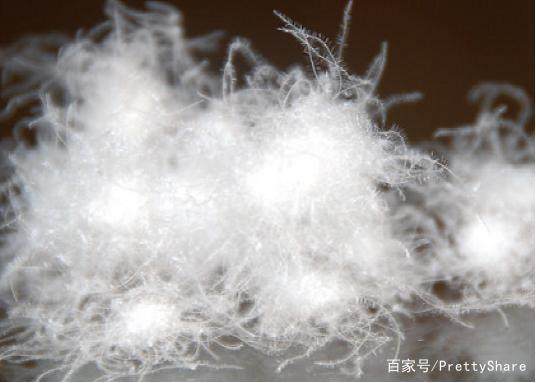 时尚与保暖兼得 羽绒服搭配及选购须知与被絮加工技巧